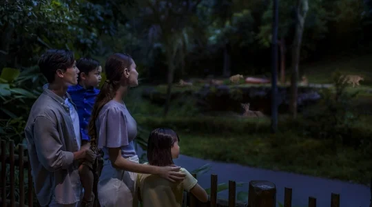 ナイトサファリ